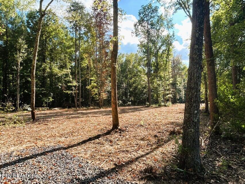 Tract 3 Pleasant Hill Ten Mile TN 37880