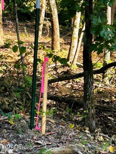 Tract 3 Pleasant Hill Ten Mile TN 37880