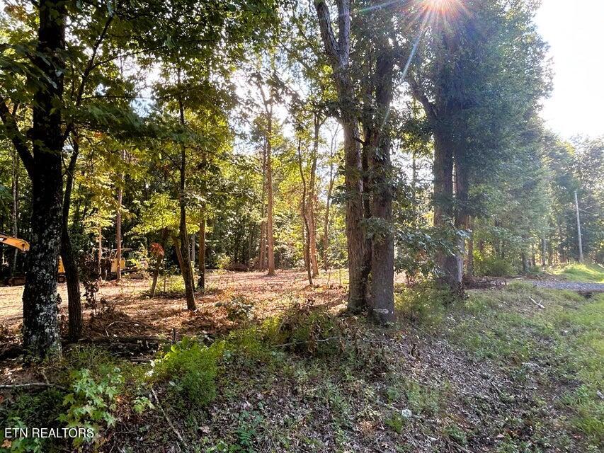 Tract 3 Pleasant Hill Ten Mile TN 37880