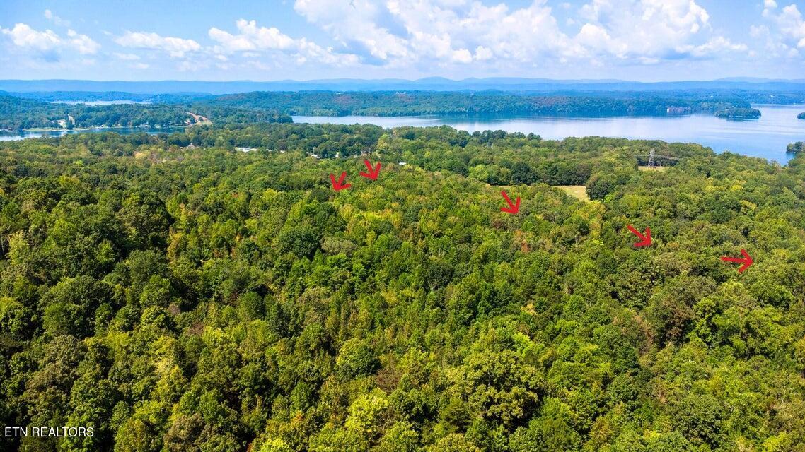 Tract 3 Pleasant Hill Ten Mile TN 37880