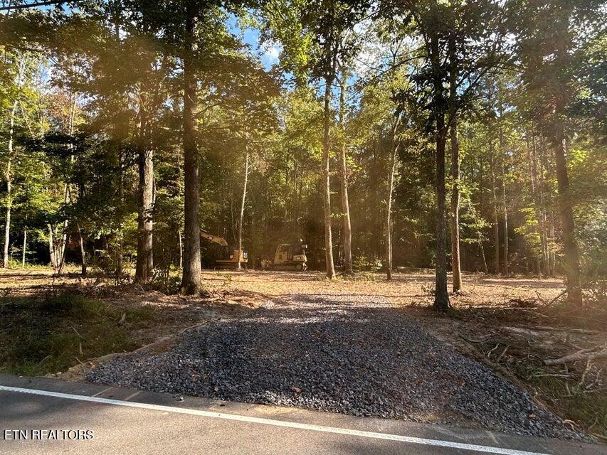 Tract 3 Pleasant Hill Ten Mile TN 37880