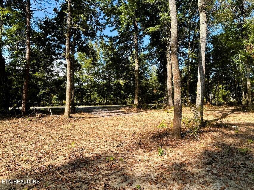 Tract 3 Pleasant Hill Ten Mile TN 37880