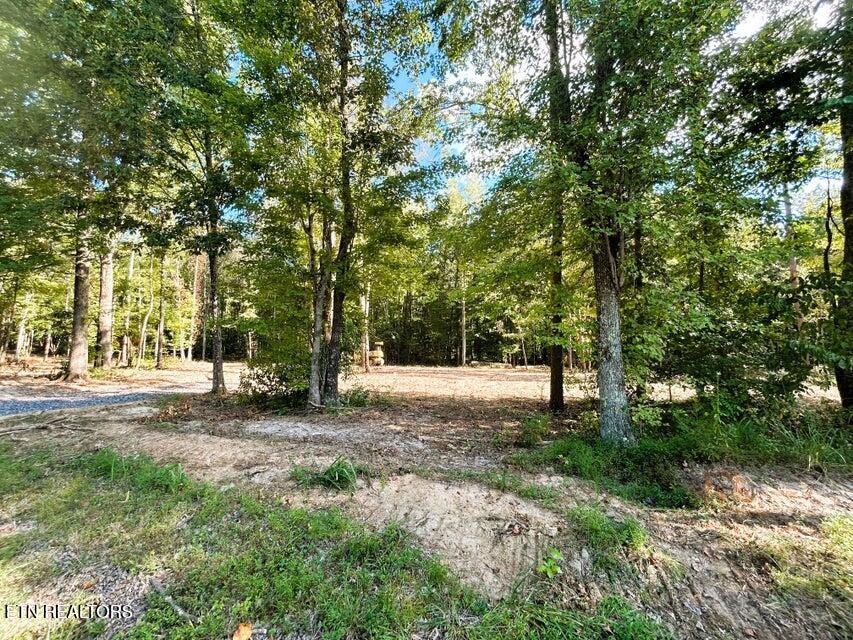 Tract 3 Pleasant Hill Ten Mile TN 37880
