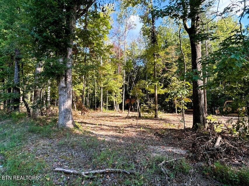Tract 3 Pleasant Hill Ten Mile TN 37880