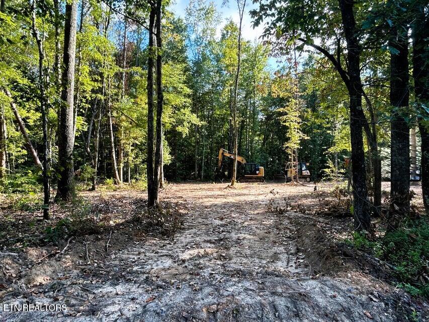 Tract 3 Pleasant Hill Ten Mile TN 37880