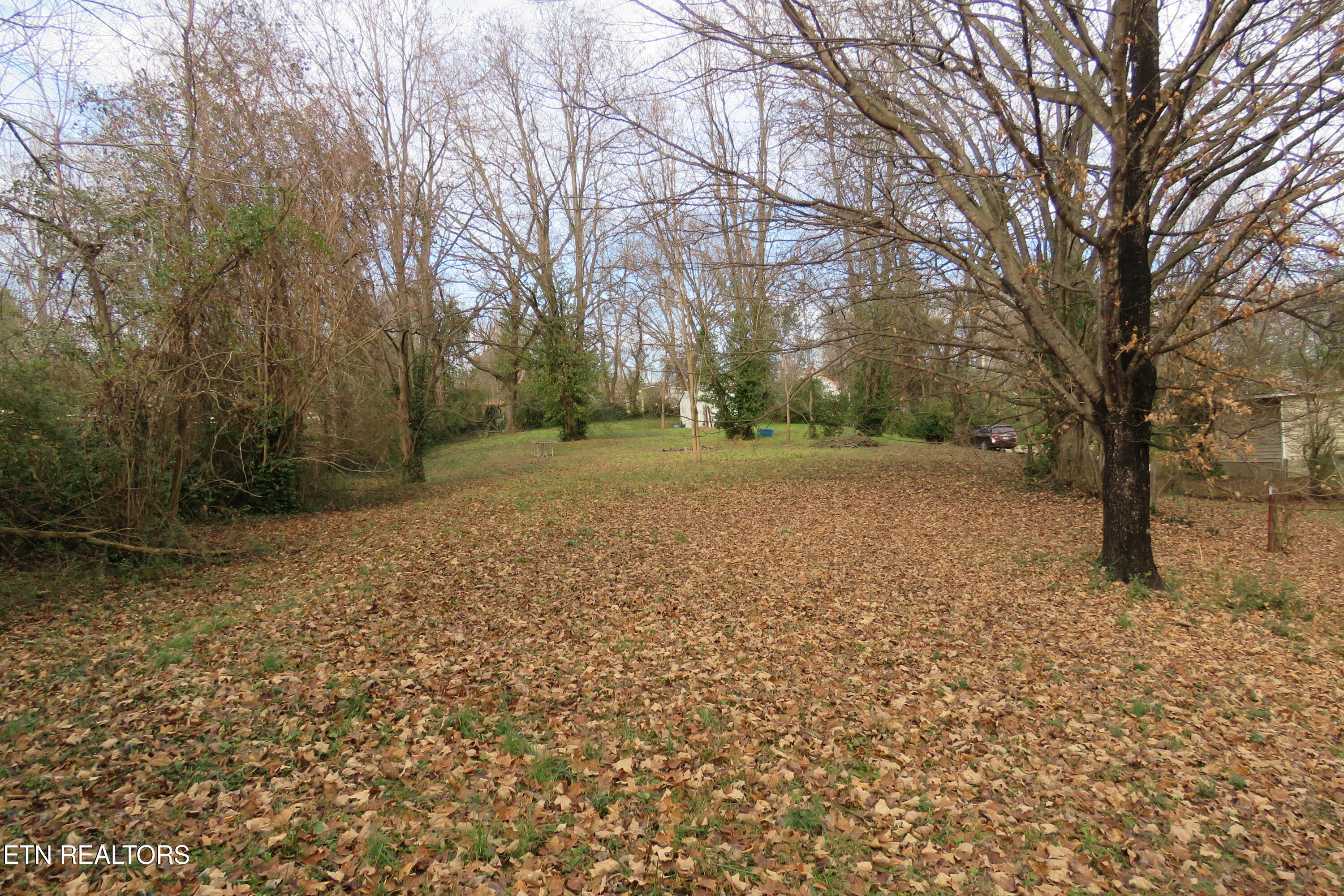 218 Celina Street Livingston TN 38570