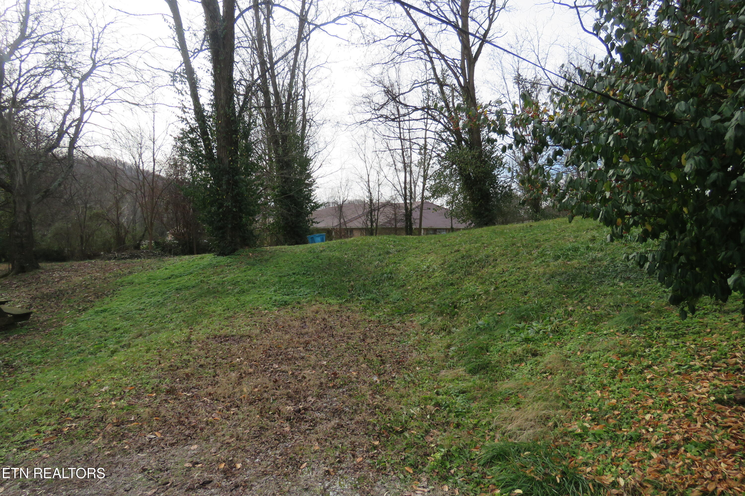 218 Celina Street Livingston TN 38570
