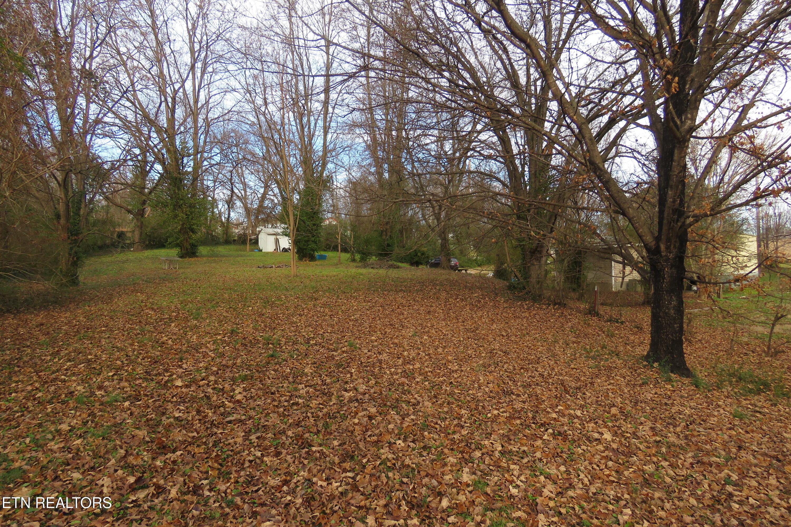 218 Celina Street Livingston TN 38570