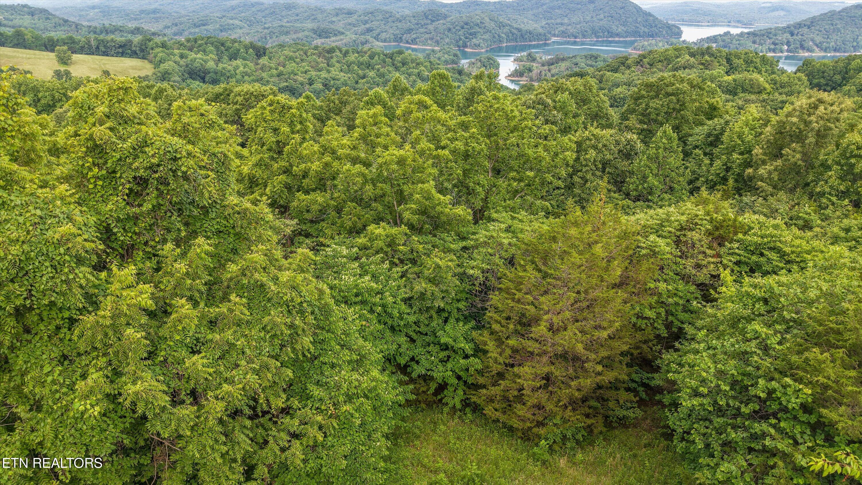 Graves Hollow Road Maynardville TN 37807