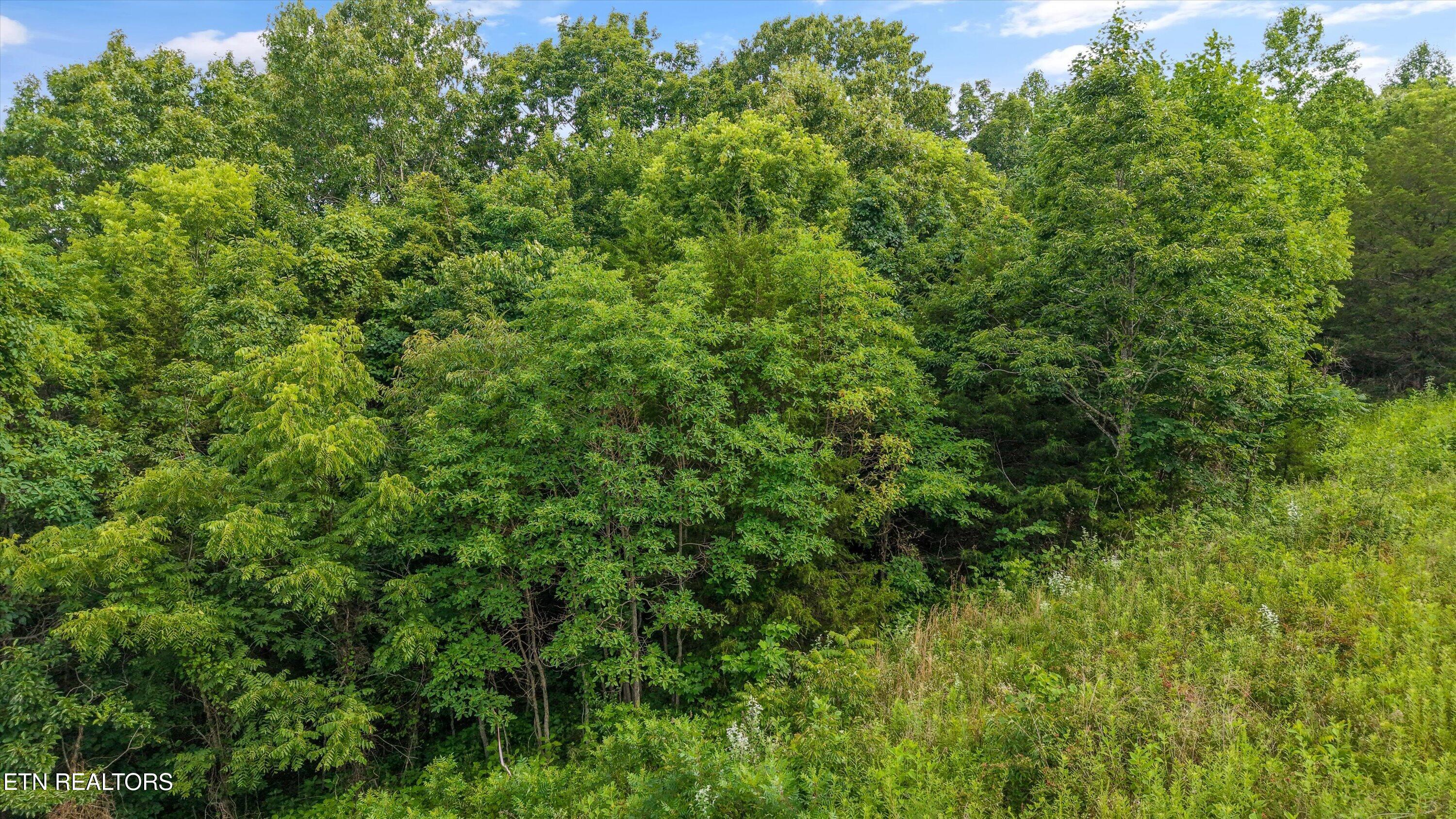 Graves Hollow Road Maynardville TN 37807
