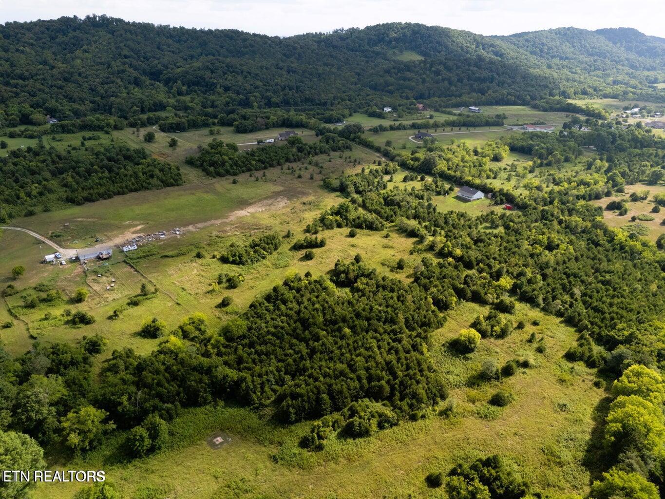 1106 Hinchey Hollow Road New Market TN 37820
