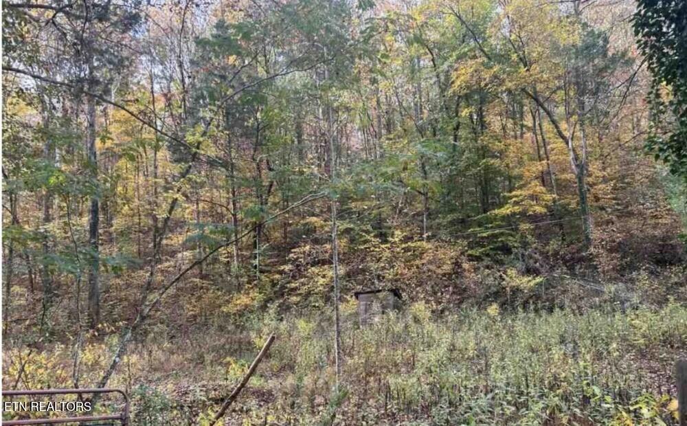 124 Rosenbalm Road Heiskell TN 37754