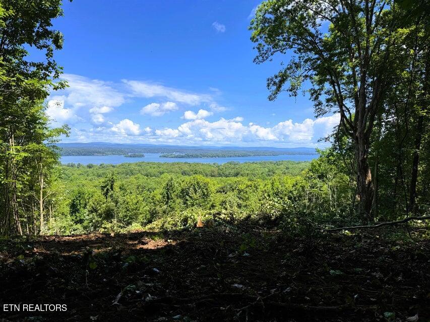 Tract 7 Pleasant Hill Road Ten Mile TN 37880