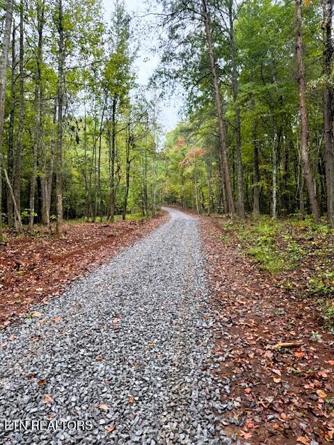 Tract 7 Pleasant Hill Road Ten Mile TN 37880