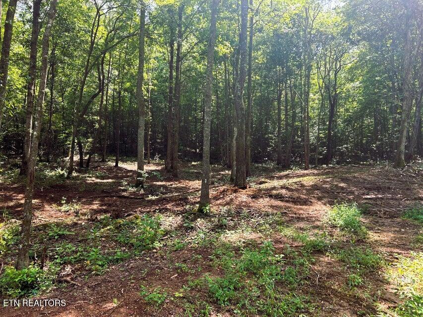 Tract 7 Pleasant Hill Road Ten Mile TN 37880