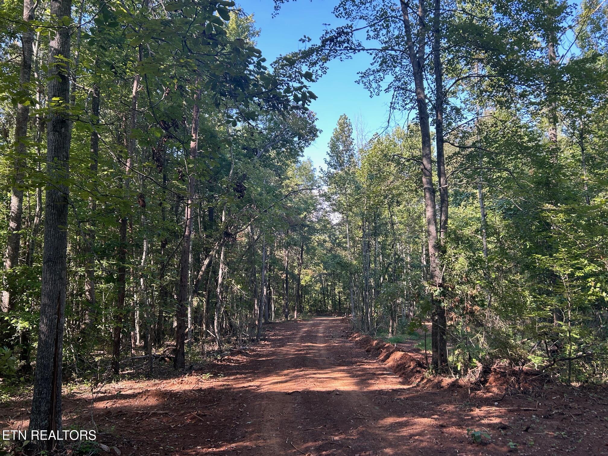 Tract 7 Pleasant Hill Road Ten Mile TN 37880