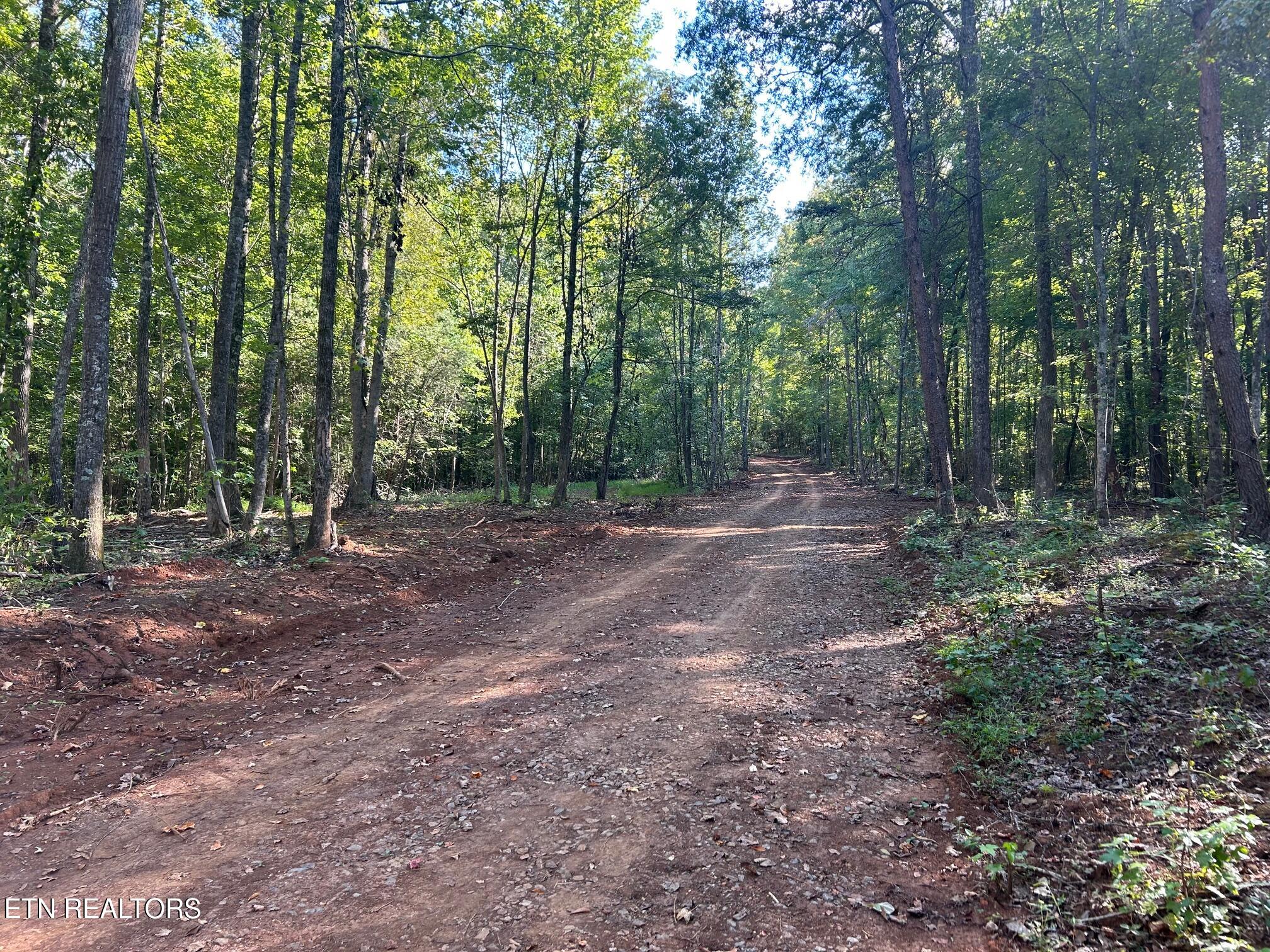 Tract 7 Pleasant Hill Road Ten Mile TN 37880