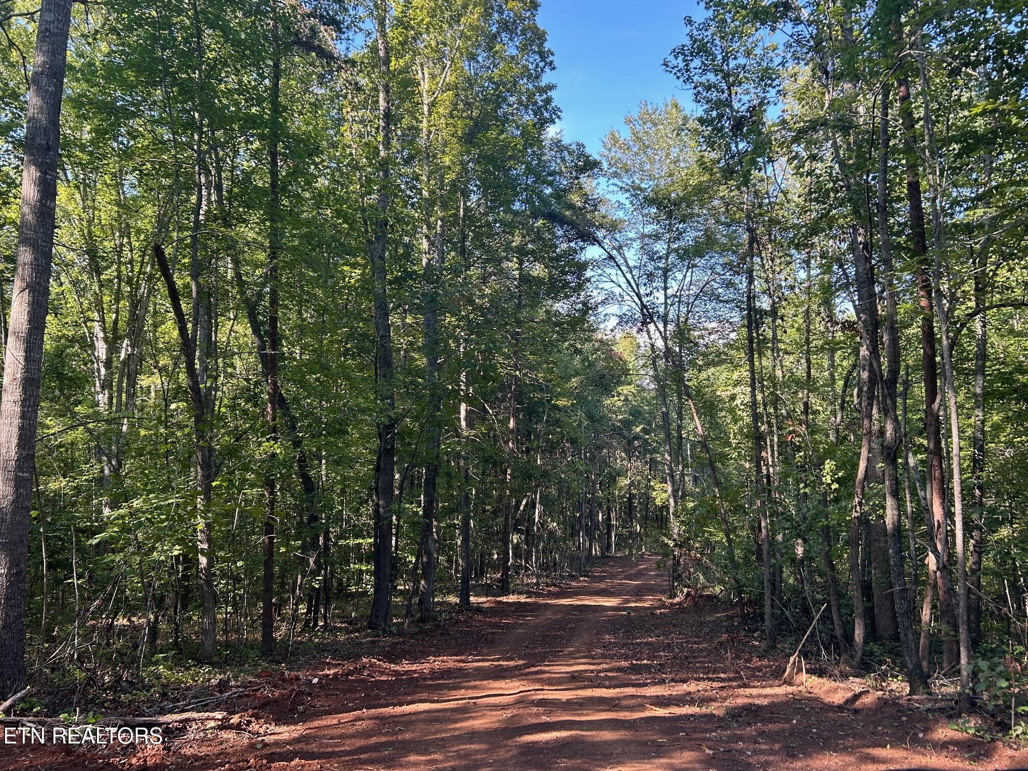 Tract 7 Pleasant Hill Road Ten Mile TN 37880