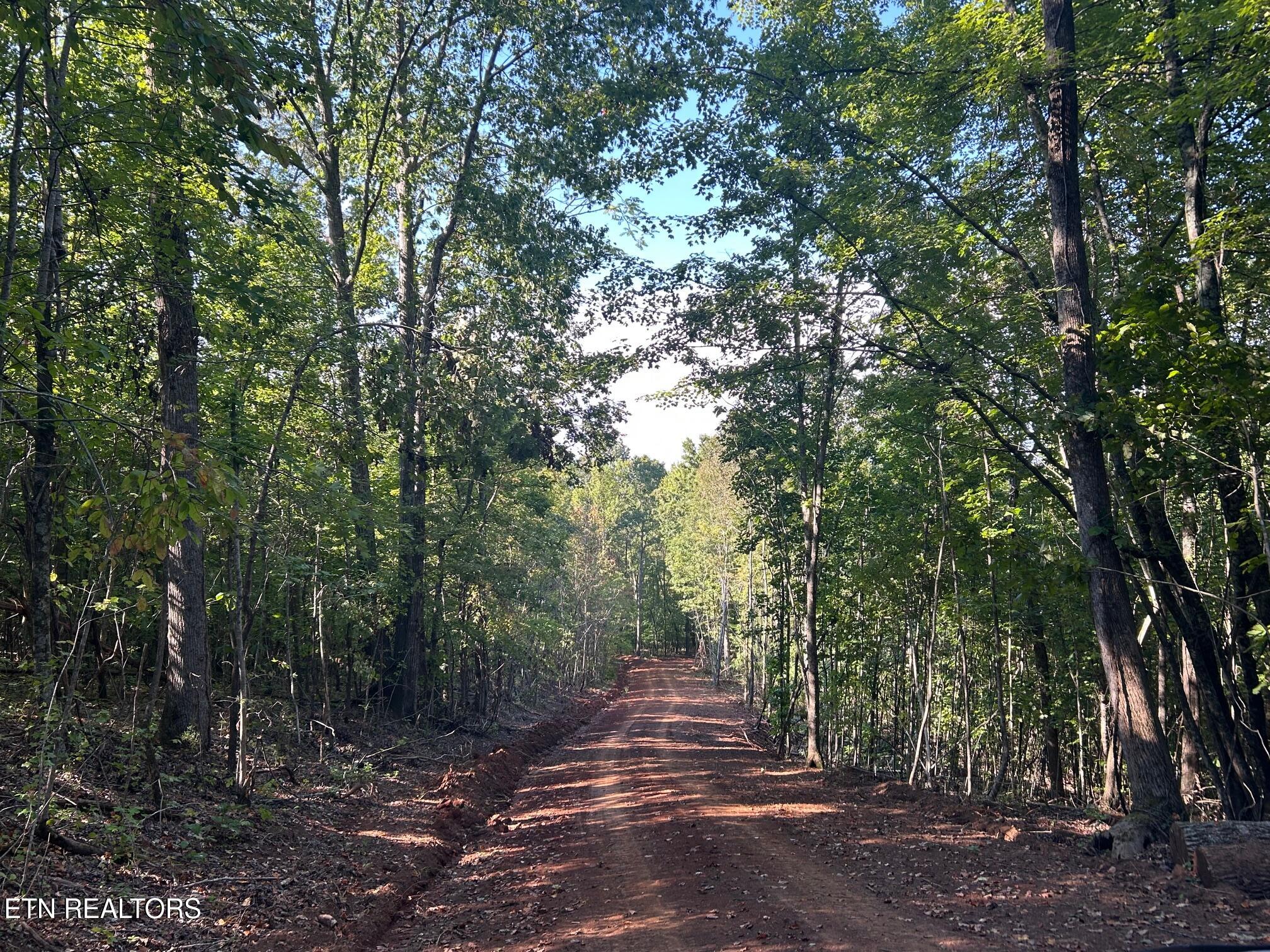 Tract 7 Pleasant Hill Road Ten Mile TN 37880