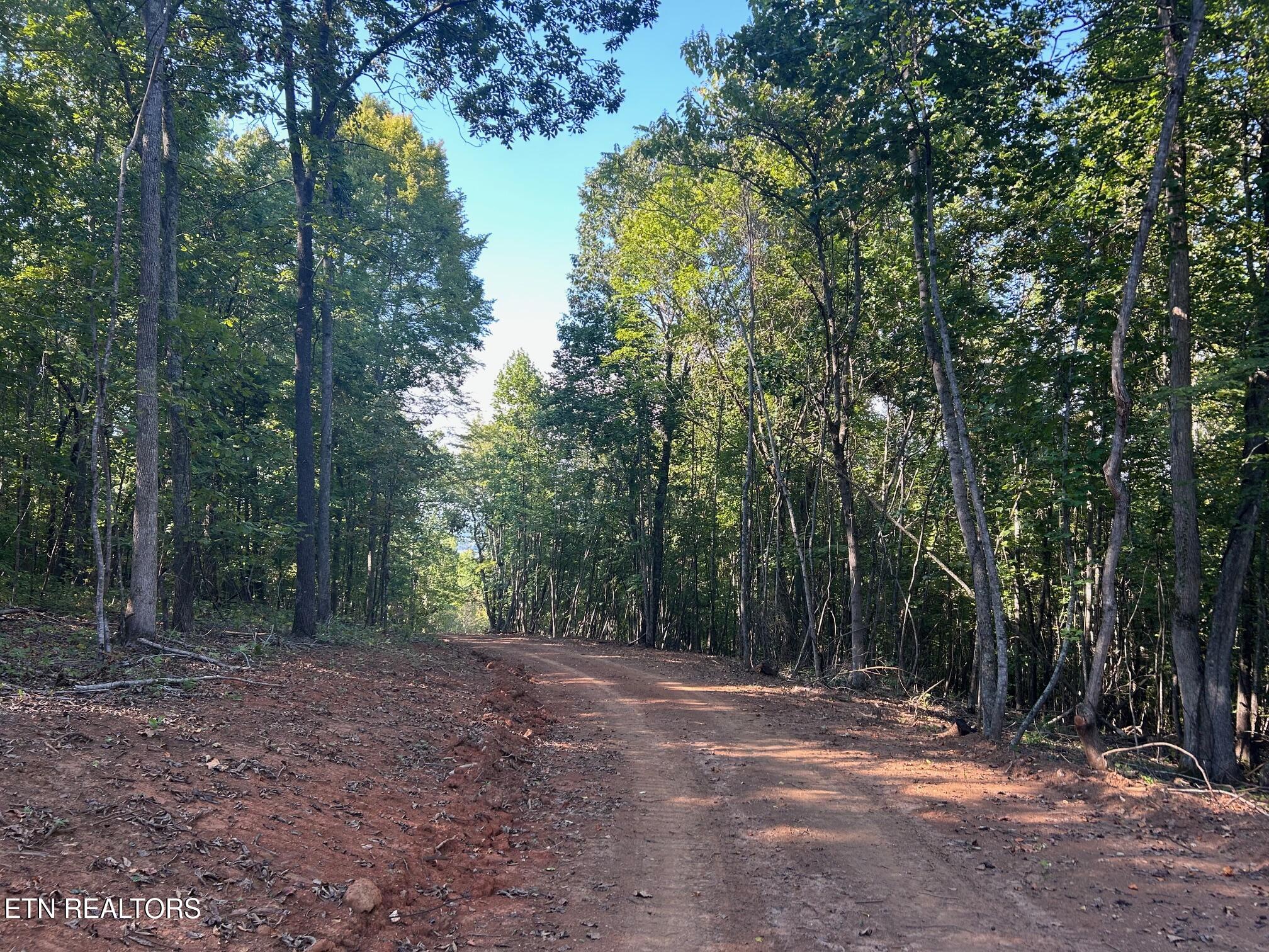 Tract 7 Pleasant Hill Road Ten Mile TN 37880