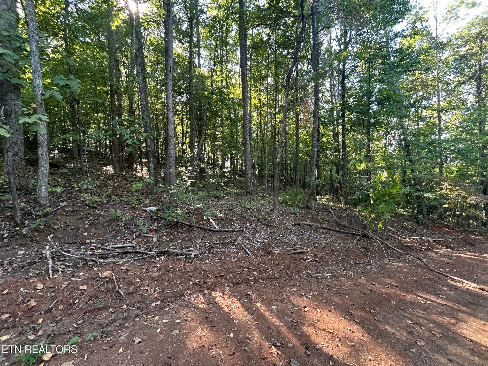 Tract 7 Pleasant Hill Road Ten Mile TN 37880