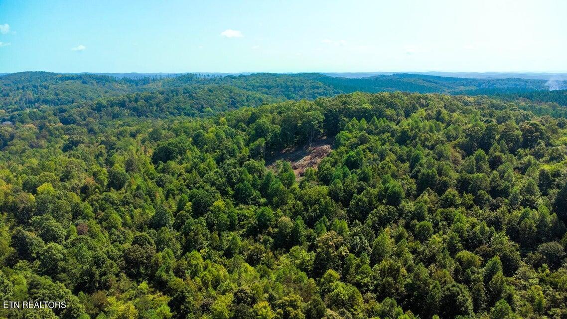 Tract 7 Pleasant Hill Road Ten Mile TN 37880