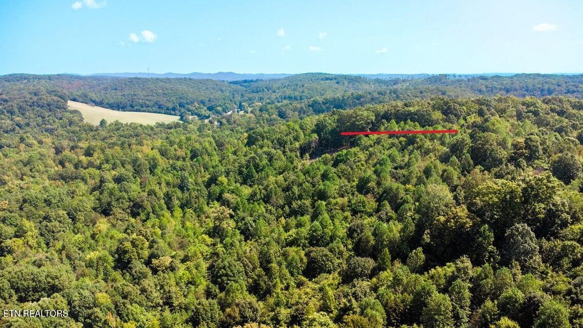 Tract 7 Pleasant Hill Road Ten Mile TN 37880
