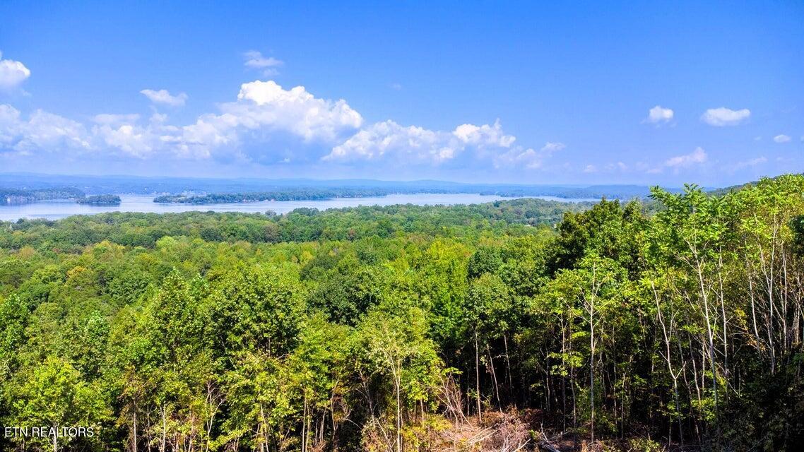 Tract 7 Pleasant Hill Road Ten Mile TN 37880