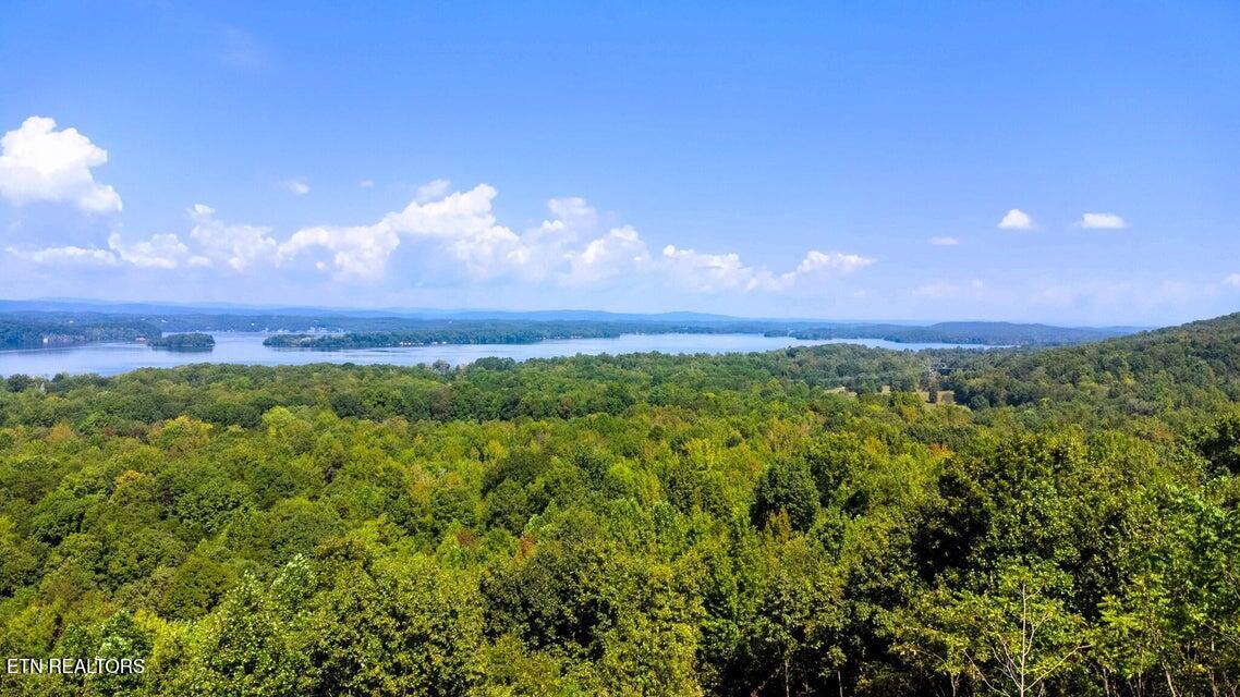 Tract 7 Pleasant Hill Road Ten Mile TN 37880