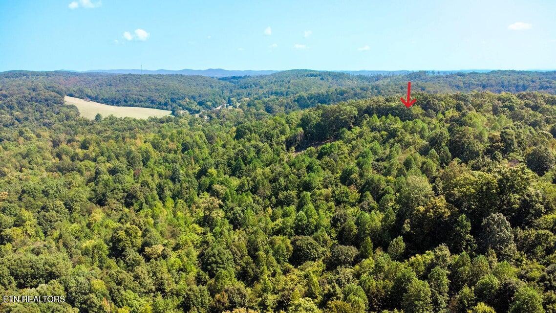 Tract 7 Pleasant Hill Road Ten Mile TN 37880