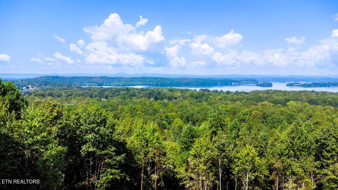 Tract 7 Pleasant Hill Road Ten Mile TN 37880