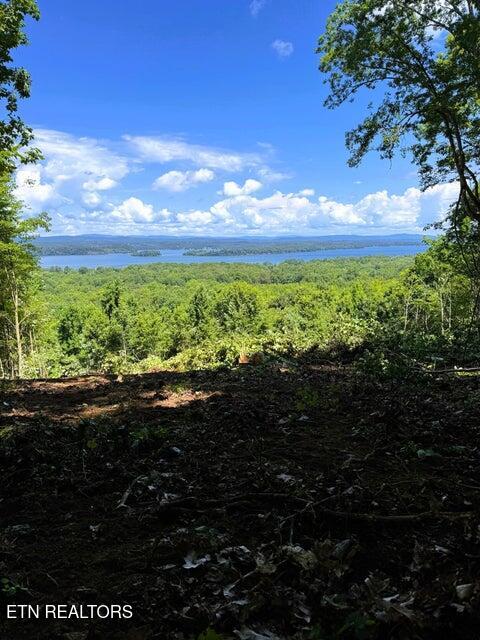 Tract 7 Pleasant Hill Road Ten Mile TN 37880