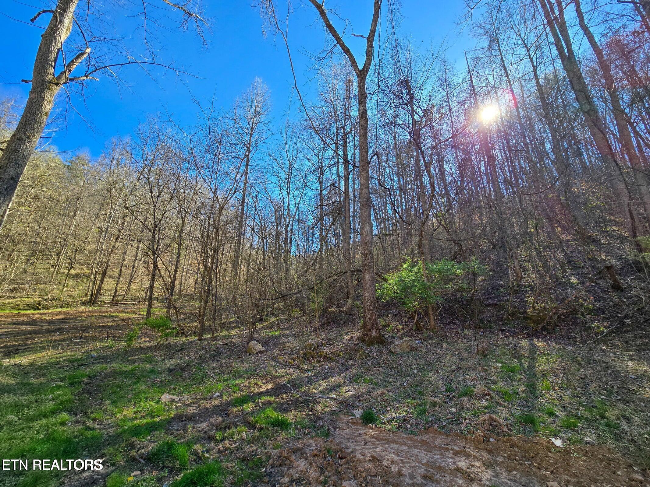 515 Robinson Road New Tazewell TN 37825