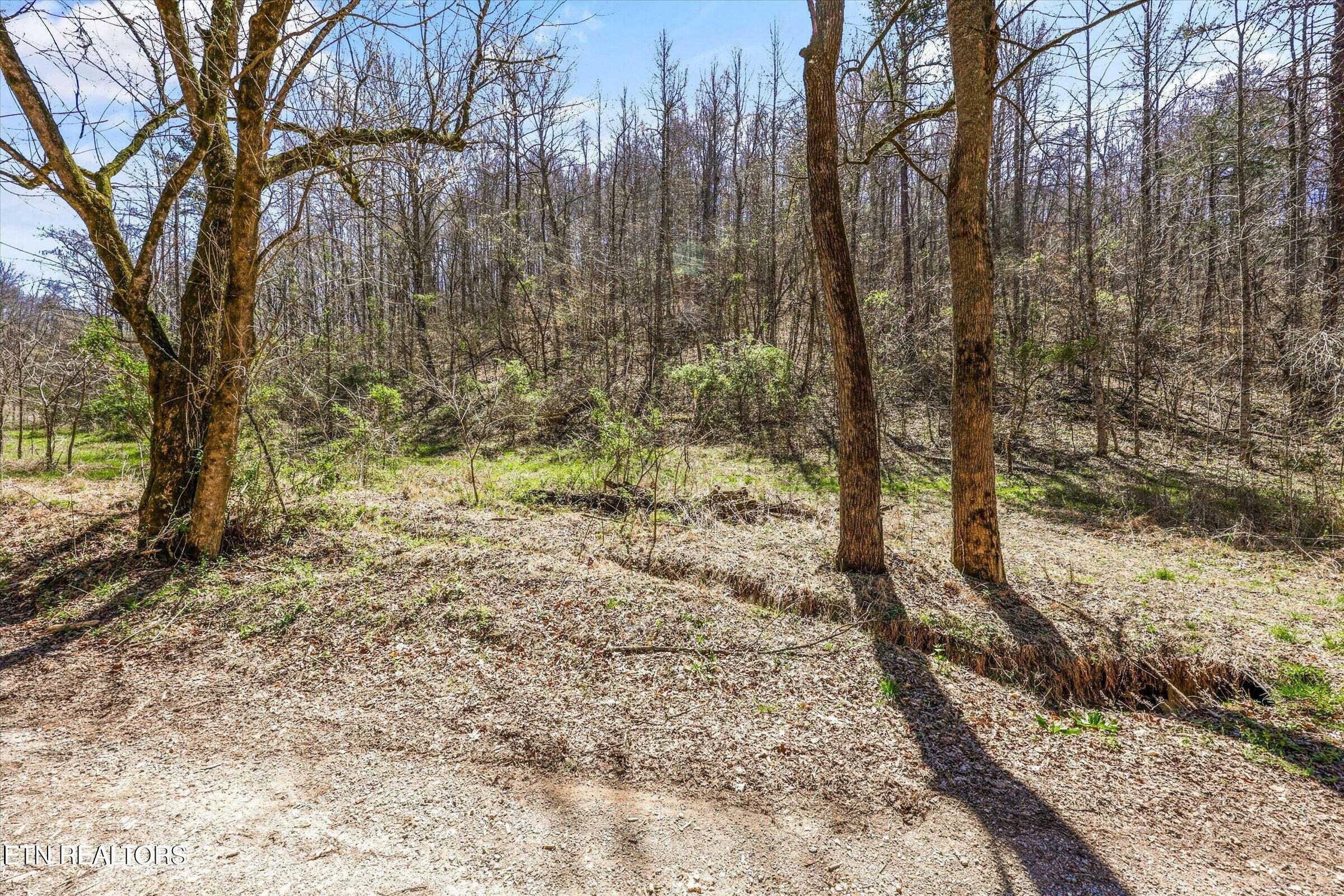515 Robinson Road New Tazewell TN 37825