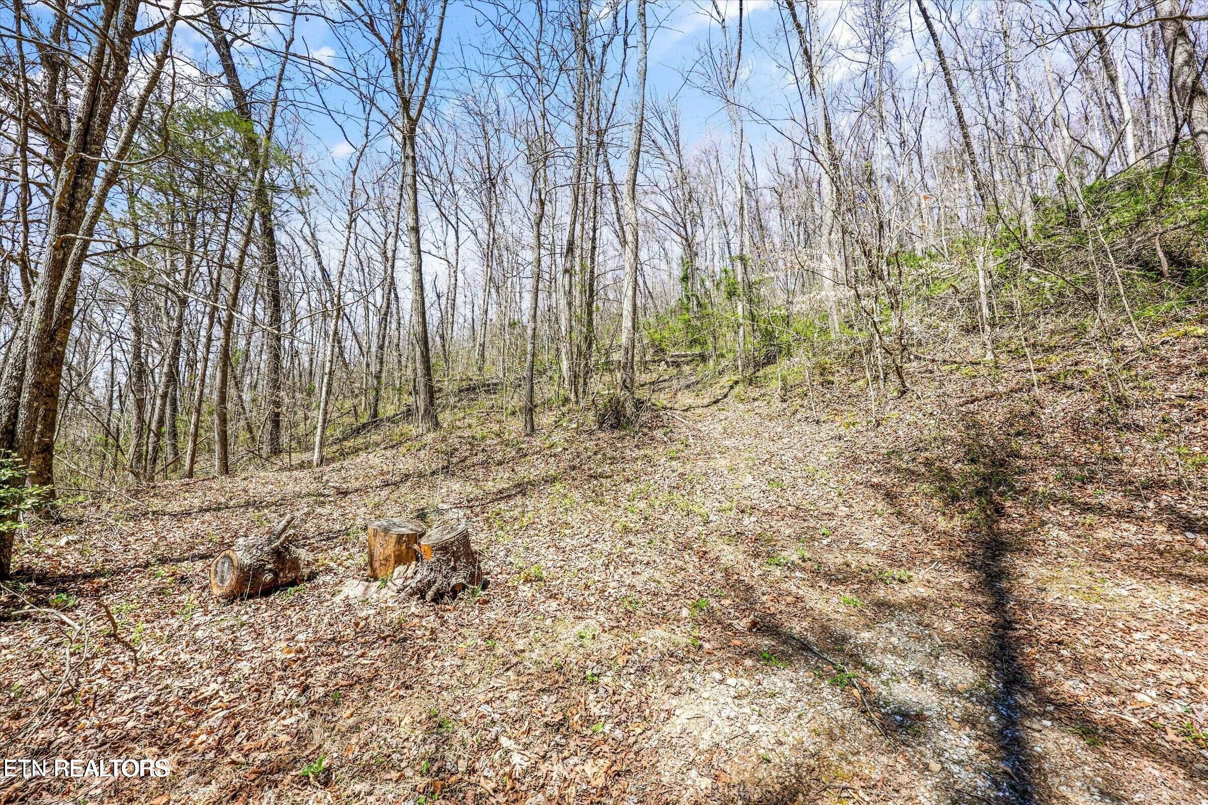 515 Robinson Road New Tazewell TN 37825