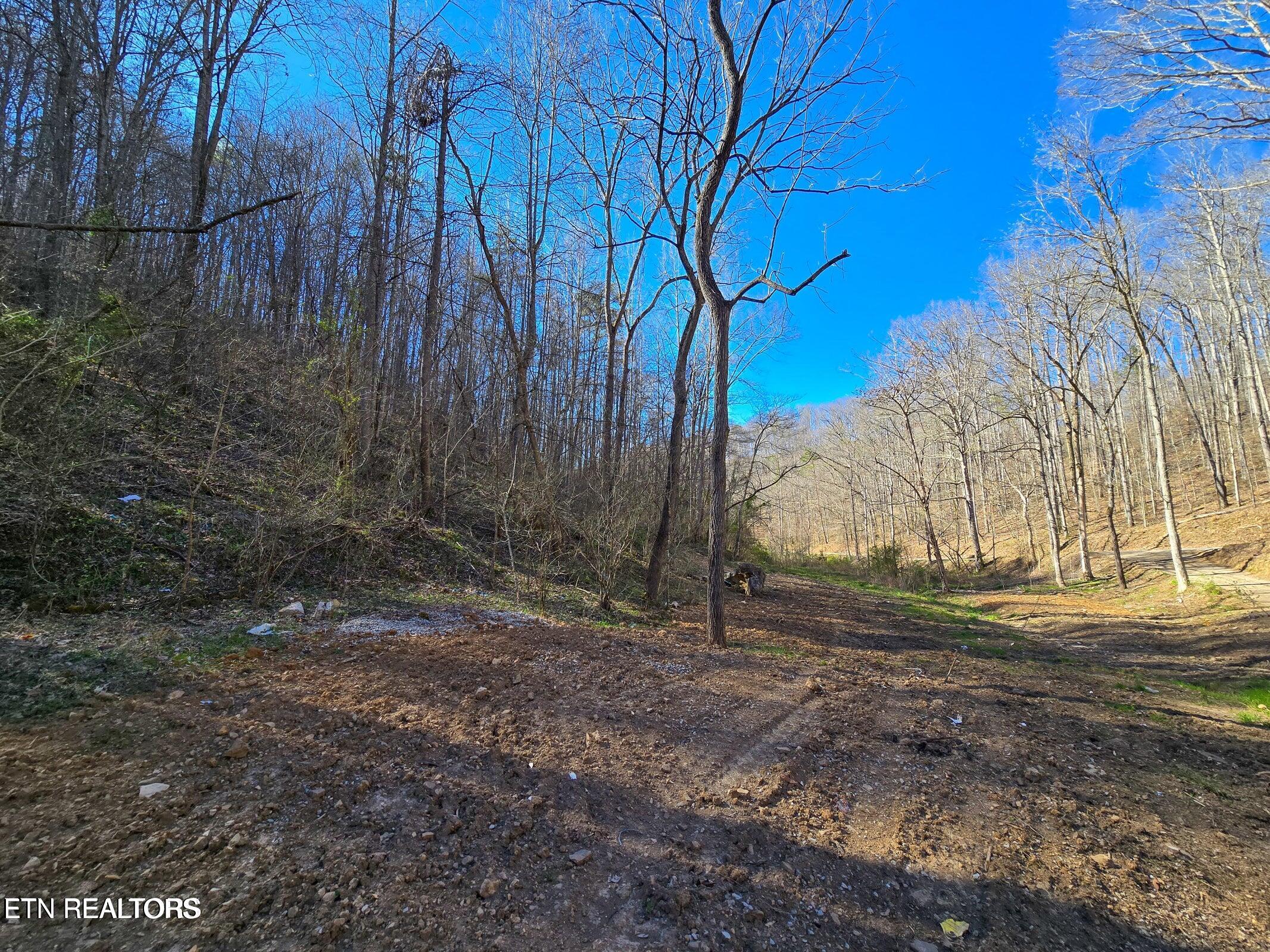 515 Robinson Road New Tazewell TN 37825
