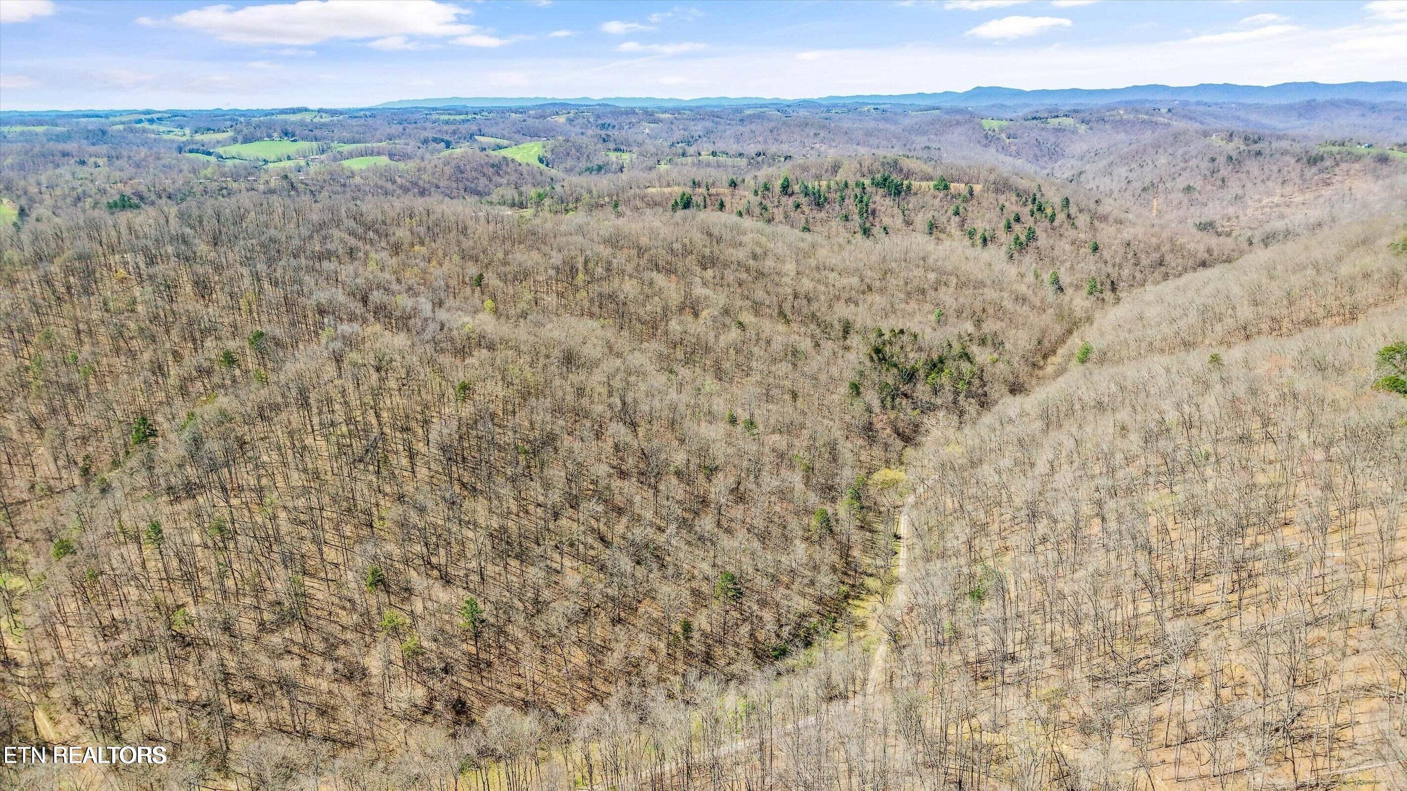 515 Robinson Road New Tazewell TN 37825