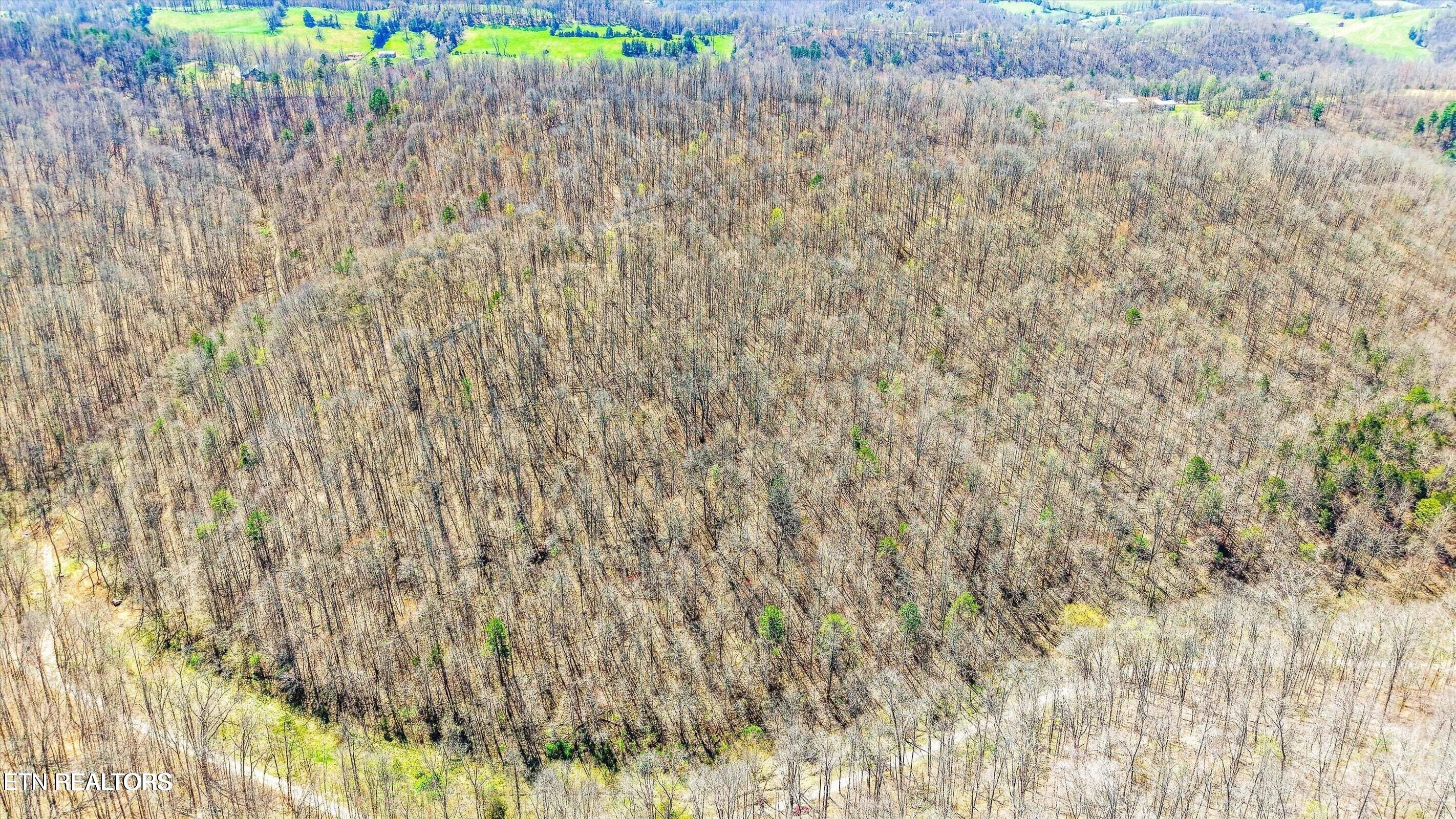 515 Robinson Road New Tazewell TN 37825