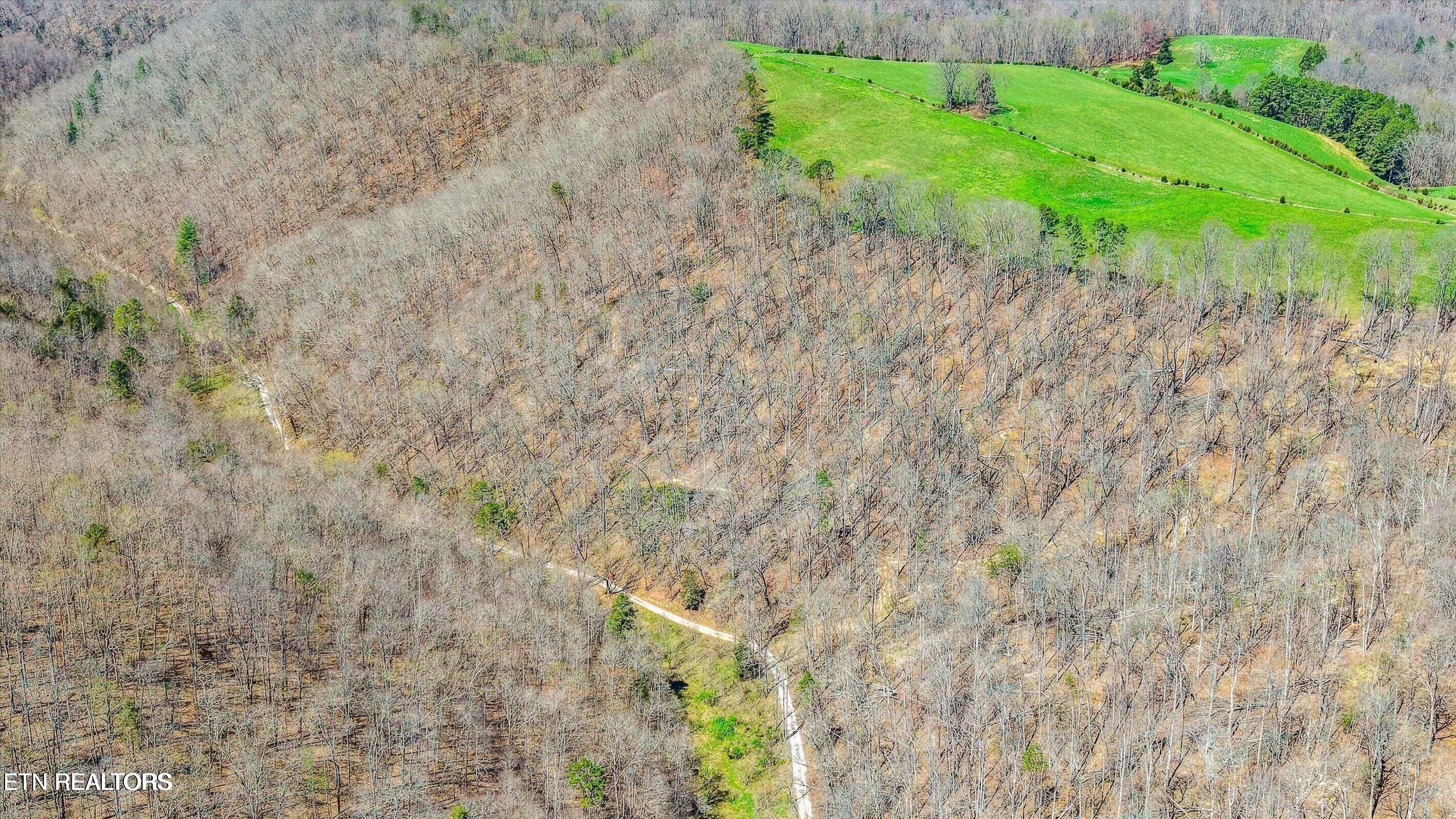 515 Robinson Road New Tazewell TN 37825