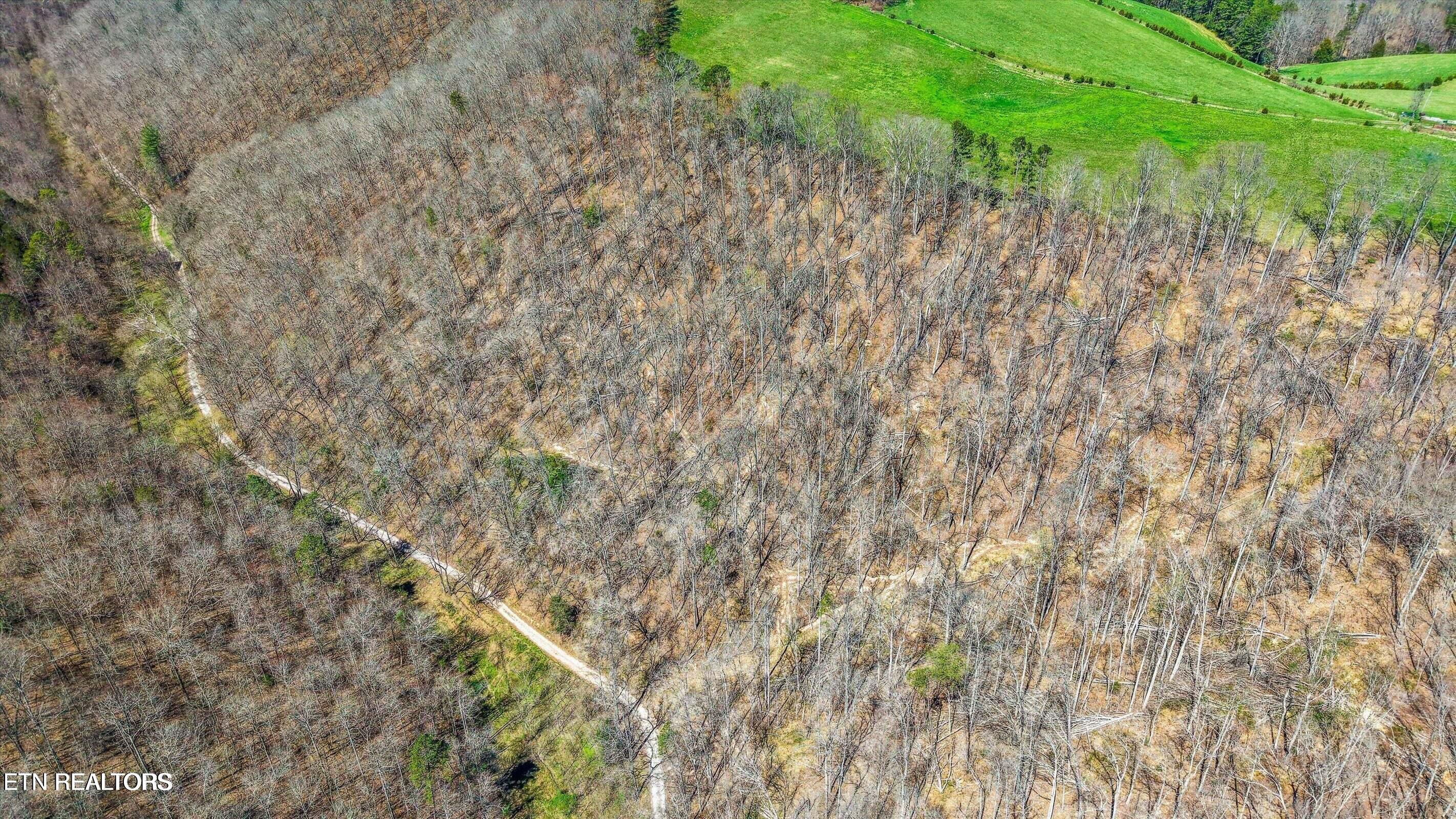 515 Robinson Road New Tazewell TN 37825