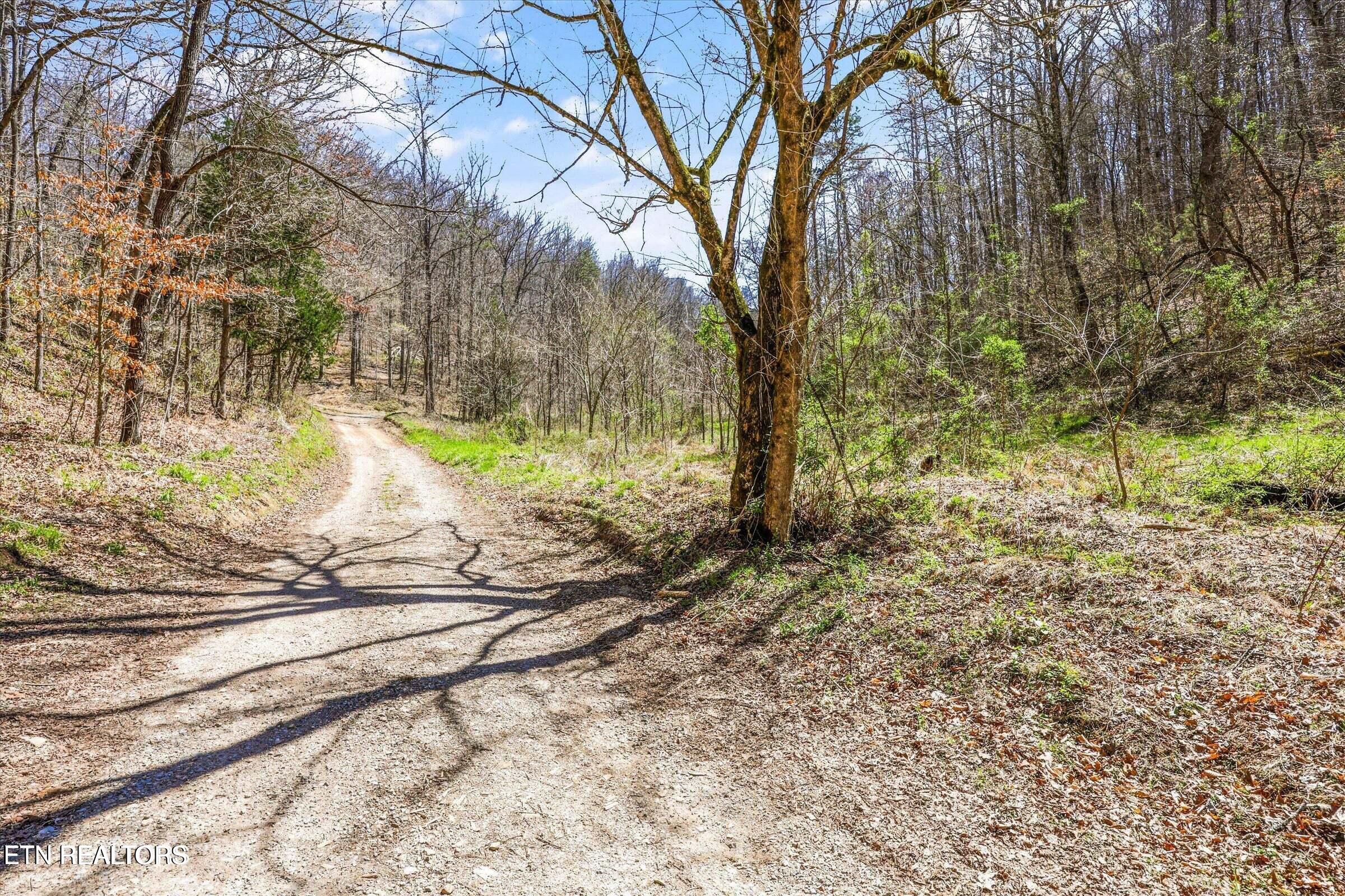 515 Robinson Road New Tazewell TN 37825