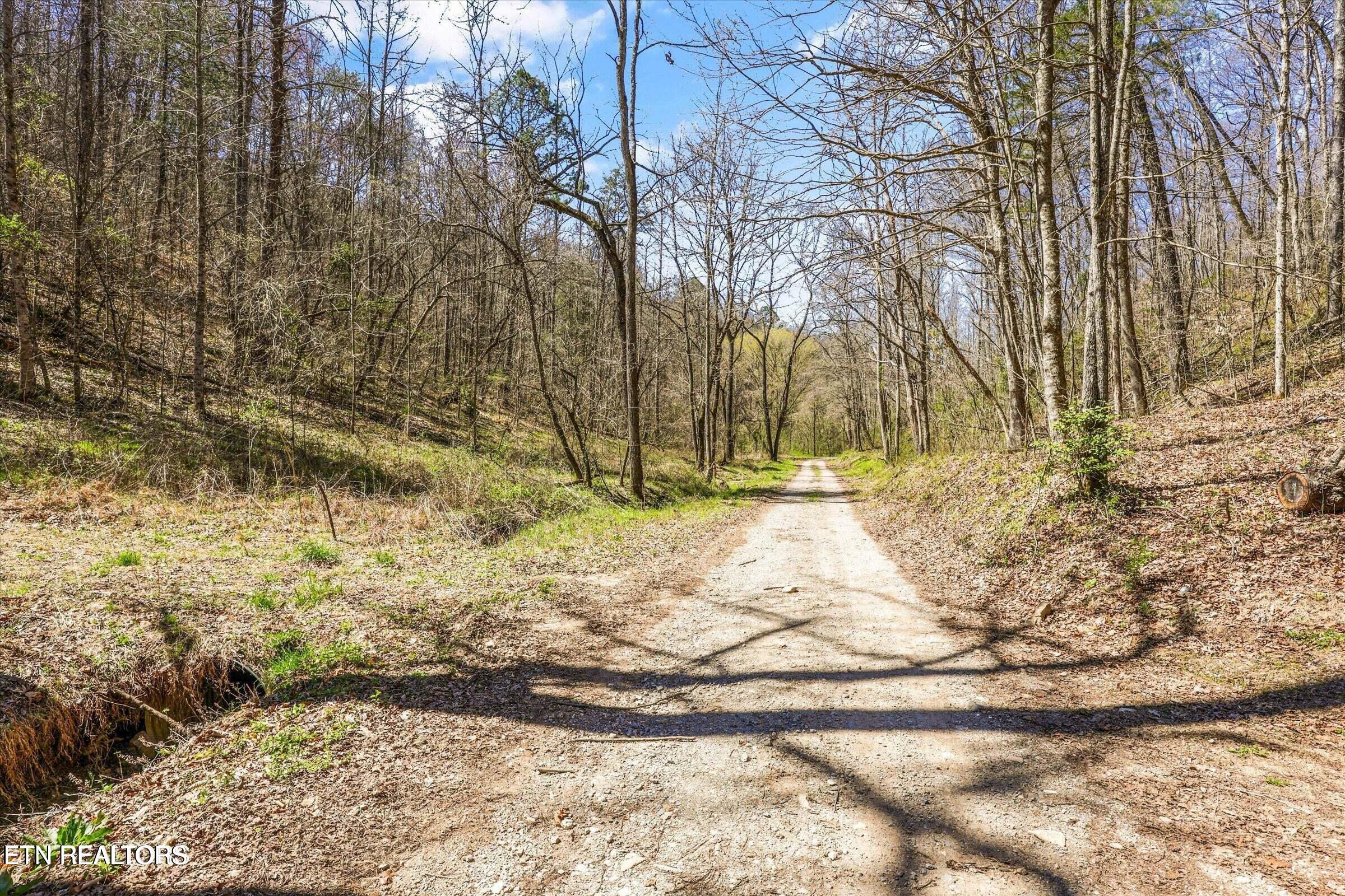 515 Robinson Road New Tazewell TN 37825