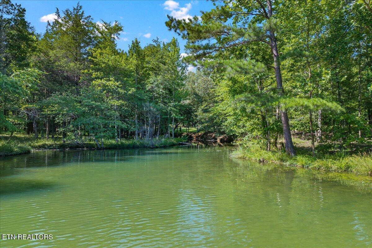 132 Hatt Lane Rockwood TN 37854