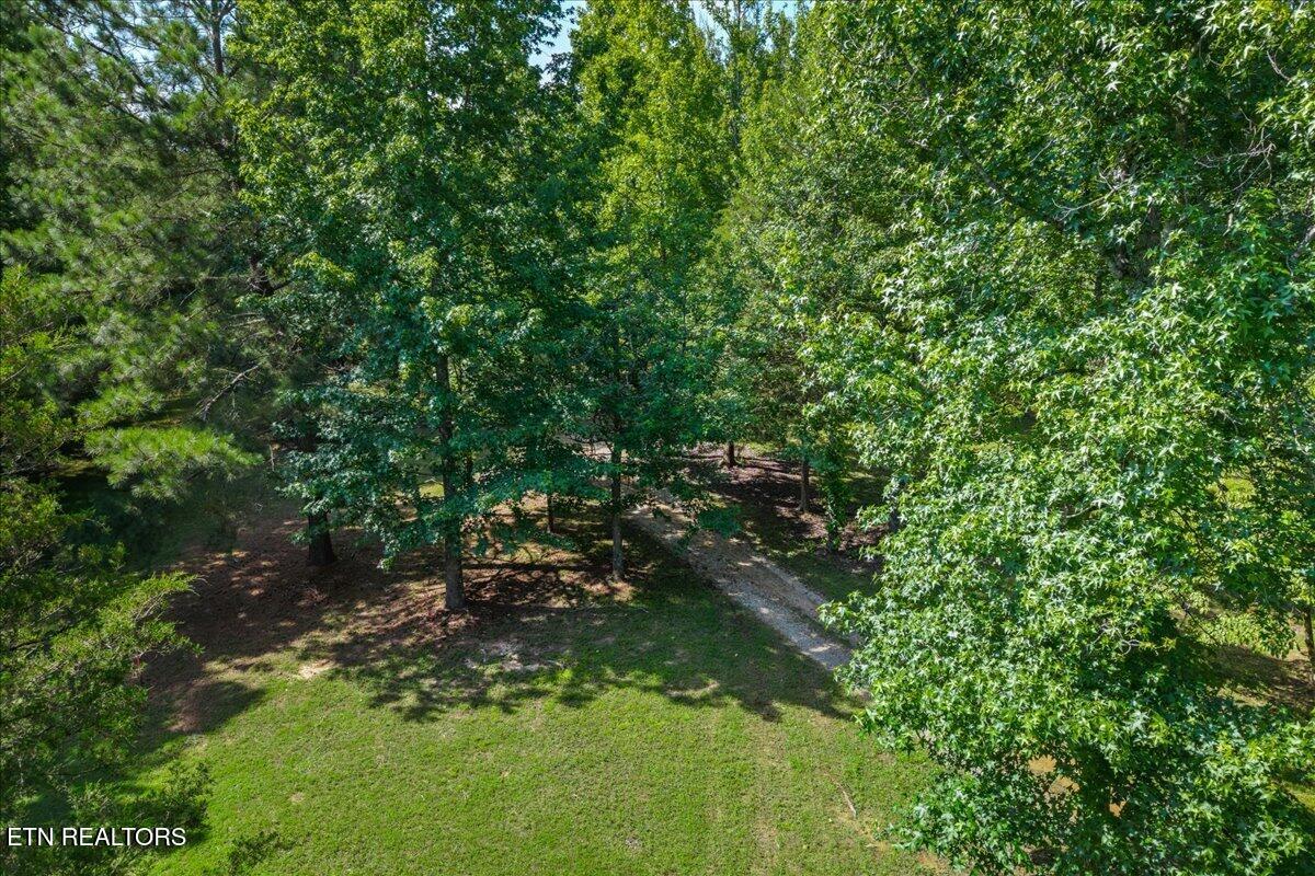 132 Hatt Lane Rockwood TN 37854