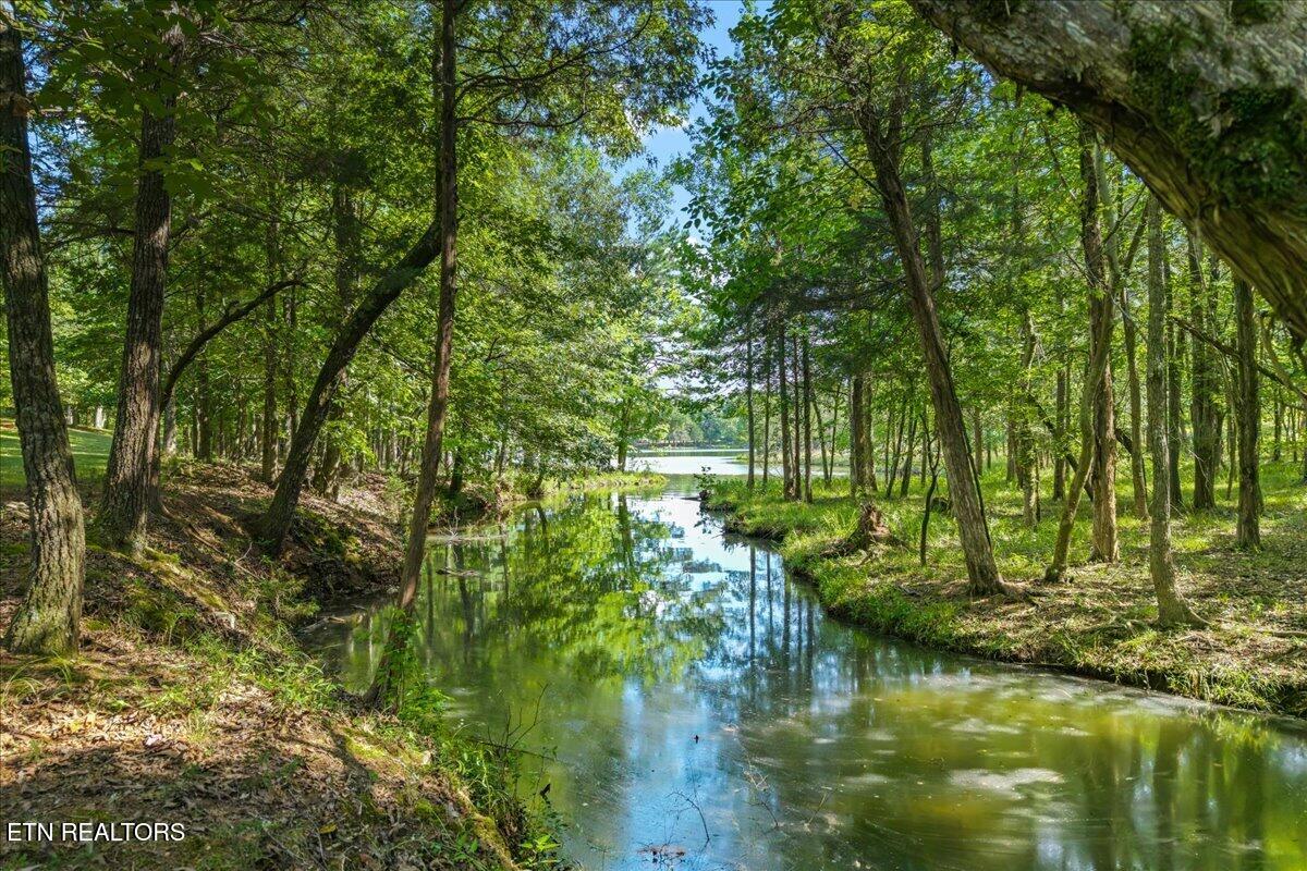 132 Hatt Lane Rockwood TN 37854