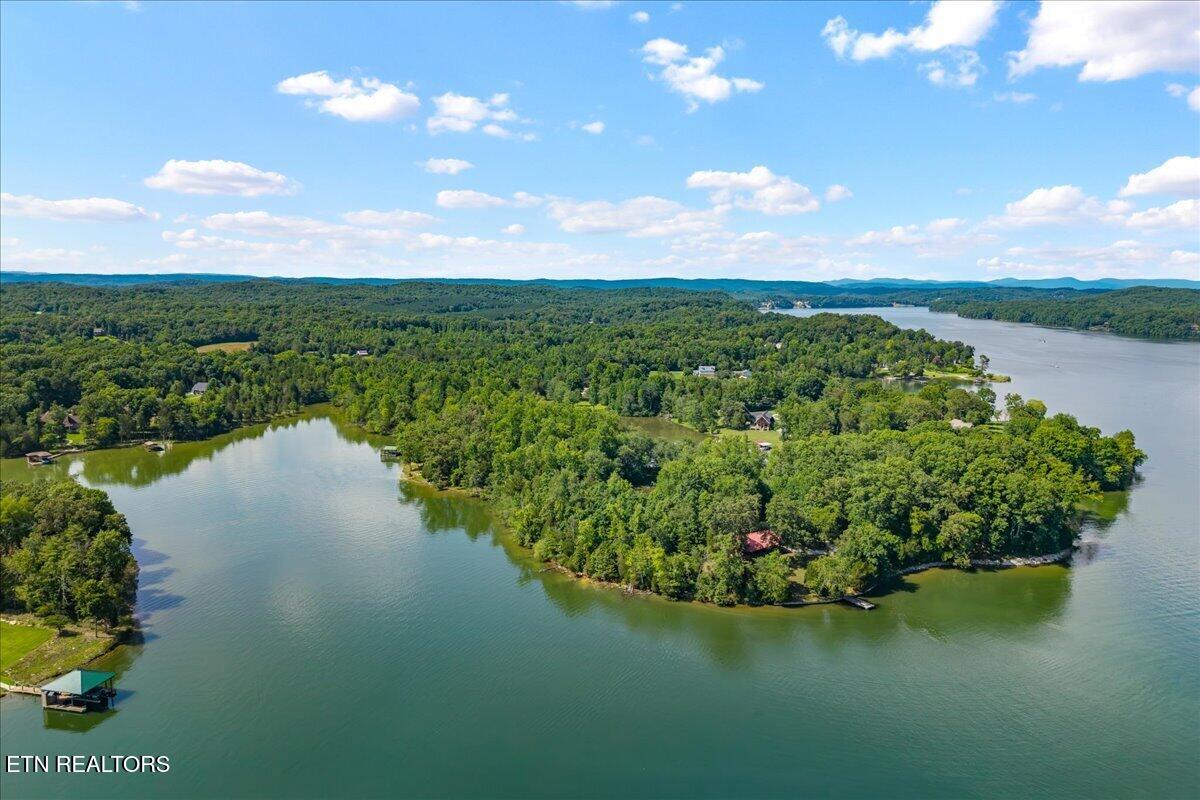 132 Hatt Lane Rockwood TN 37854