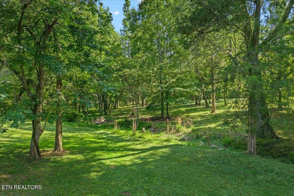 132 Hatt Lane Rockwood TN 37854