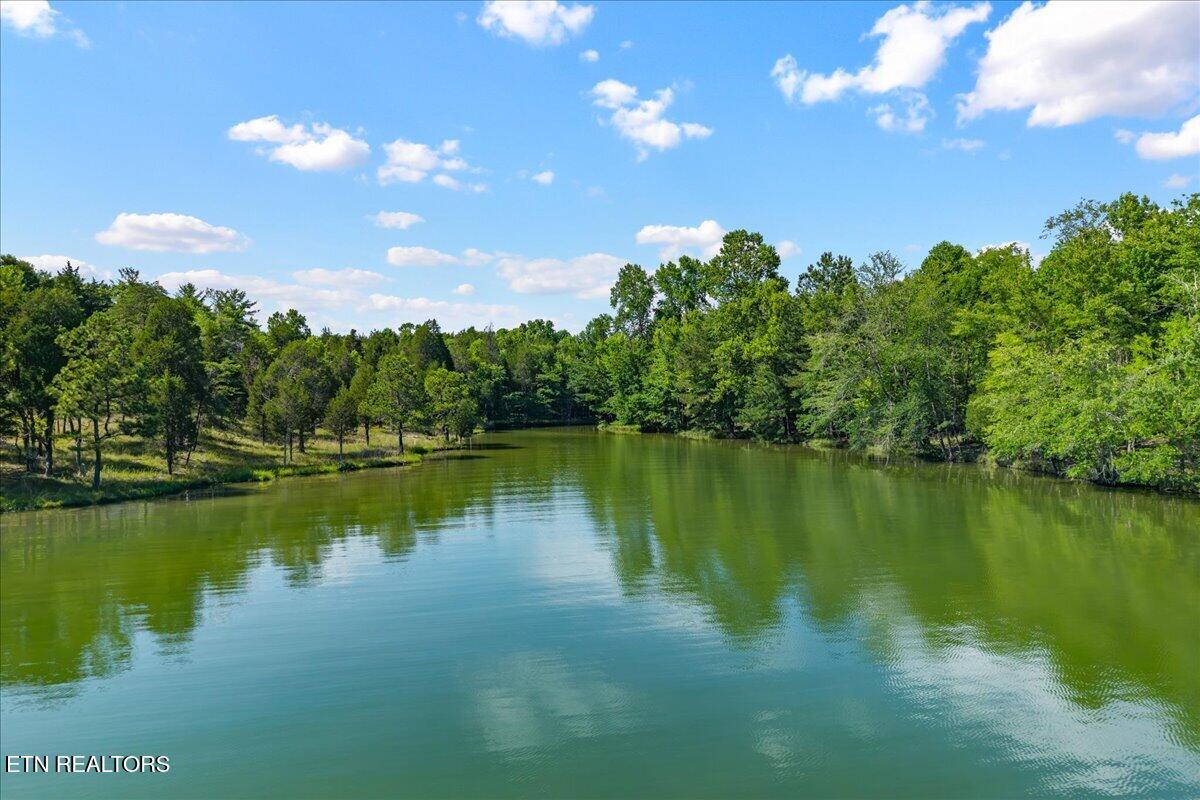 132 Hatt Lane Rockwood TN 37854