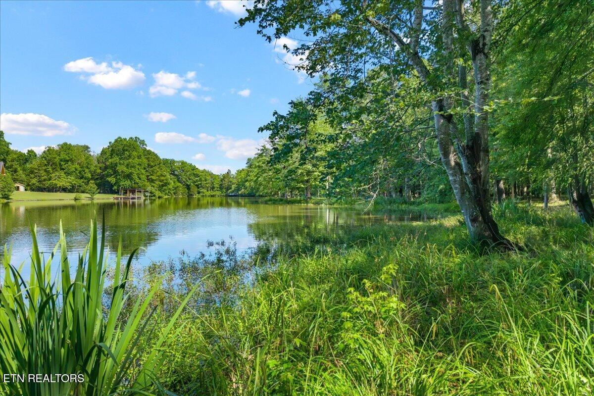 132 Hatt Lane Rockwood TN 37854