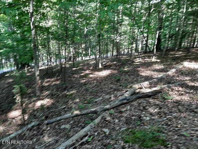 Deer Pond Circle Lafollette TN 37766